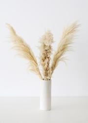 Pack of 3 - Natural Tan Pampas Grass - 40-48" Tall | Afloral (US)