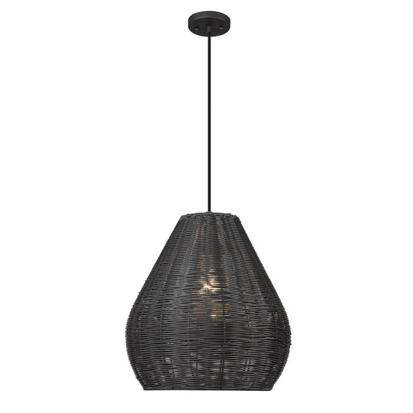Cian Outdoor Pendant | Wayfair North America