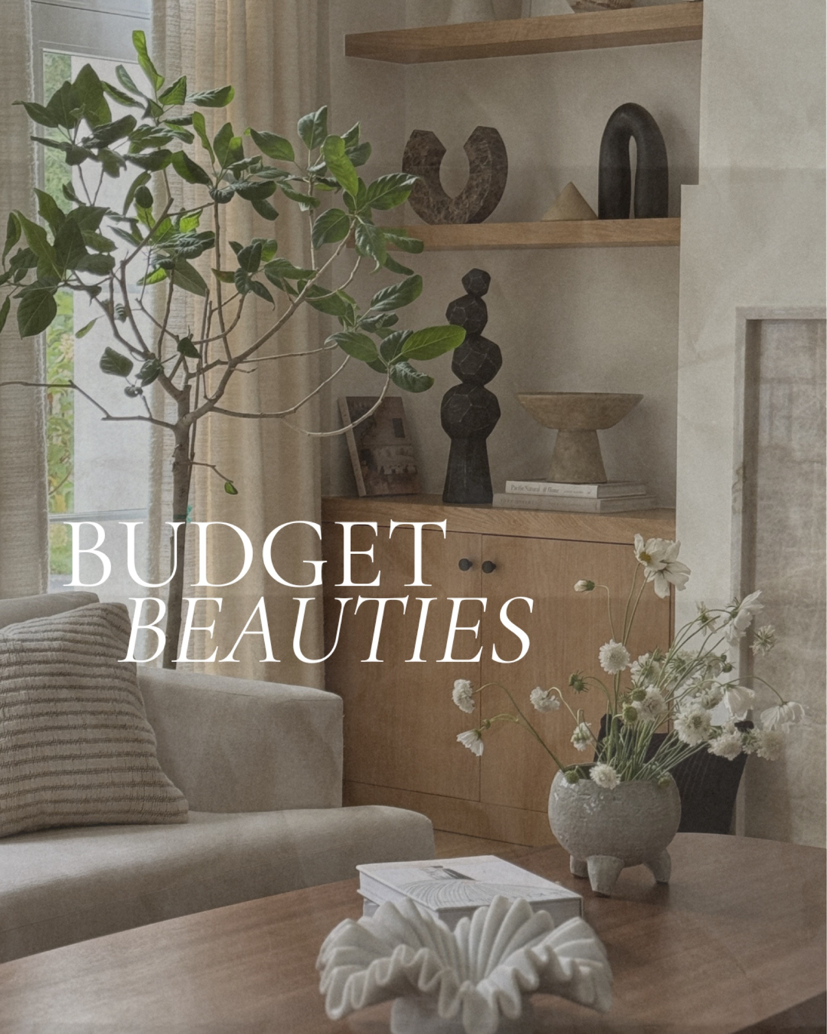 SHOP OUR BUDGET BEAUTIES 

#LTKFindsUnder100 #LTKStyleTip #LTKHome