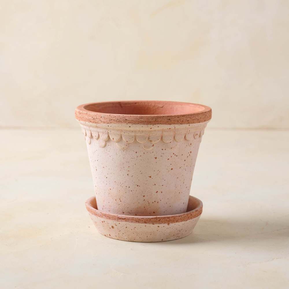 Terracotta Bergs Pot | Magnolia