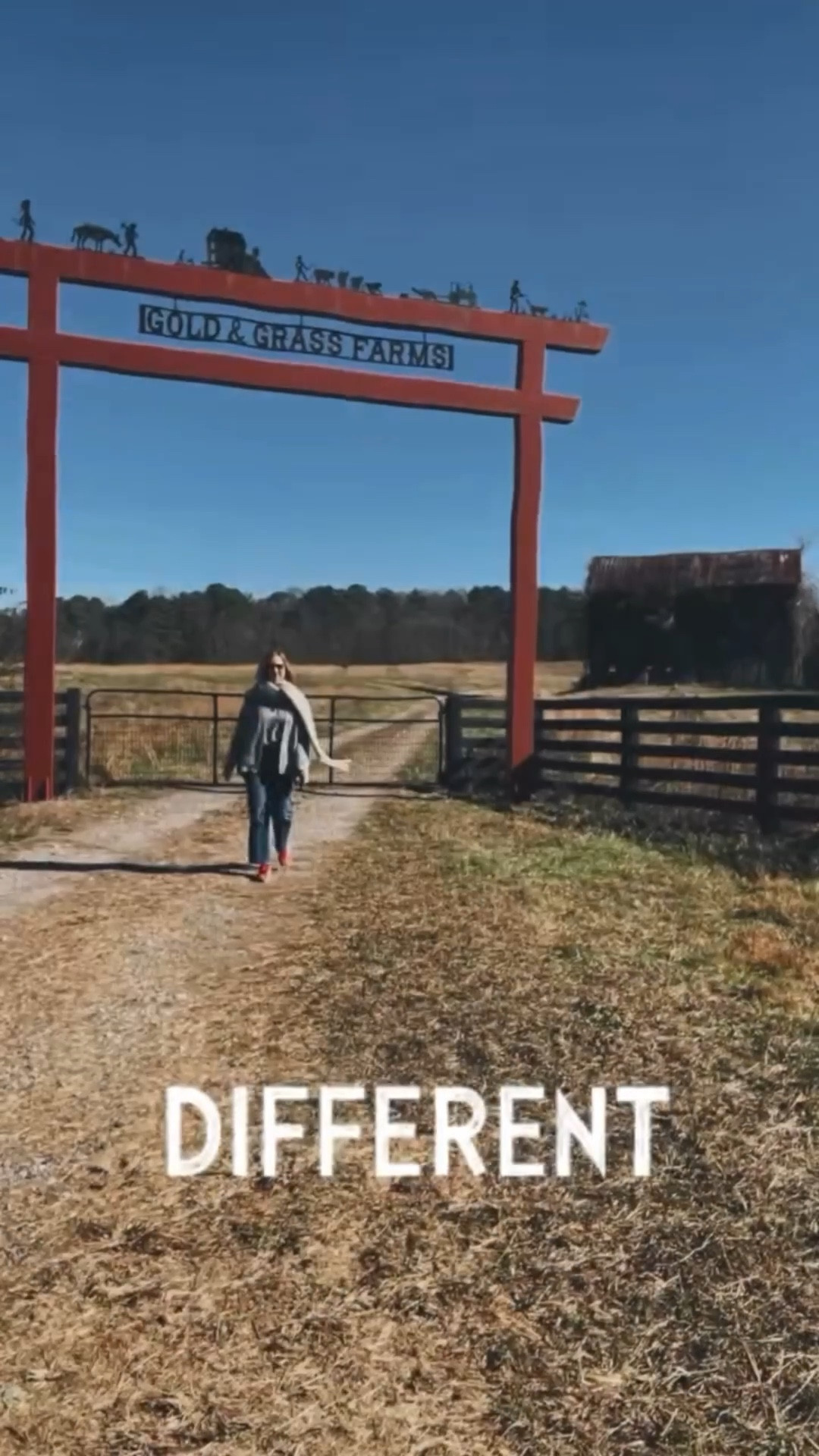 Here’s to inky being me in 2026. With AI taking over social media, it’s hard to know what’s real and what’s not. I saw the CEO of Instagram say that authenticity and truly being your imperfect self is what brings trust. So, good for me here at @shoppixieco because IMPERFECT might be what I do best. 🤭 Here’s to another year of imperfect posts and lots of over-50 style fun. Happy New Year! - Jill

#newyearover50 #over50style #over50jeans #over50casualstyle #jeansinmidlife