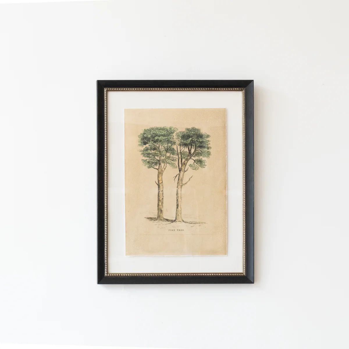 Pine Tree | Stoffer Home