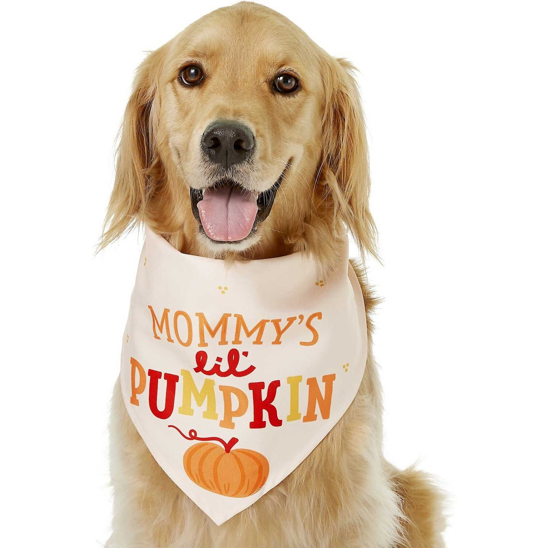 Frisco Mommy's Lil Pumpkin Dog & Cat Bandana | Chewy.com