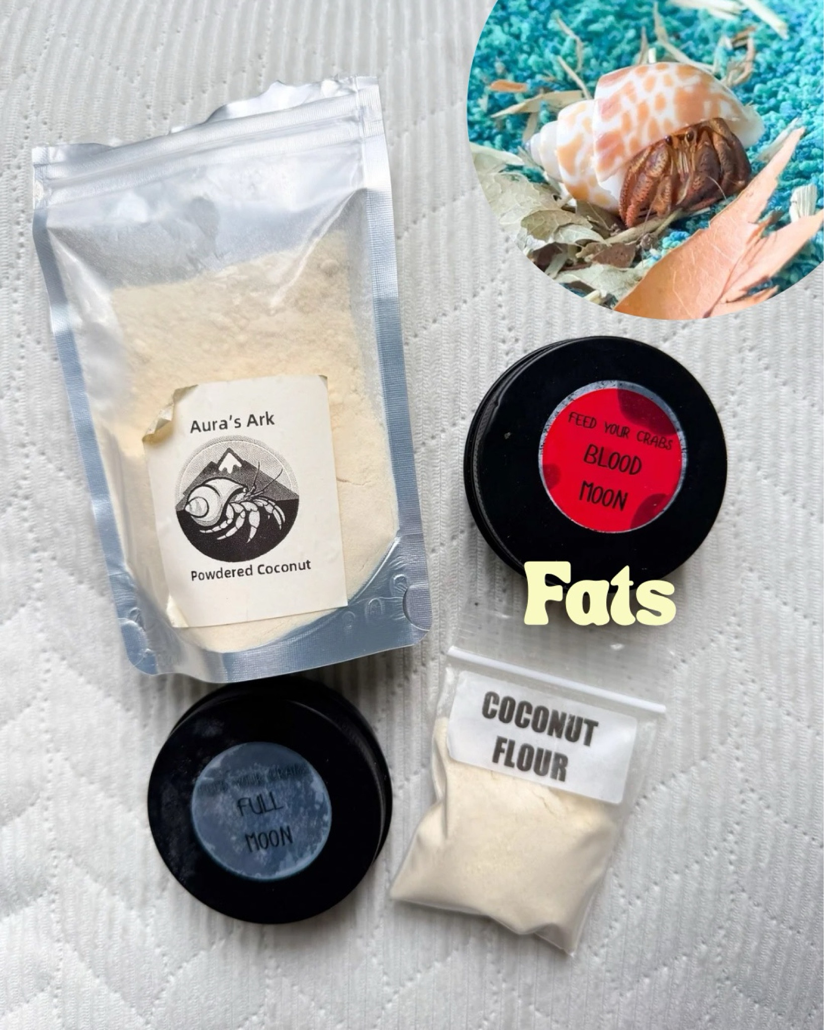 Healthy fats food for hermit crabs