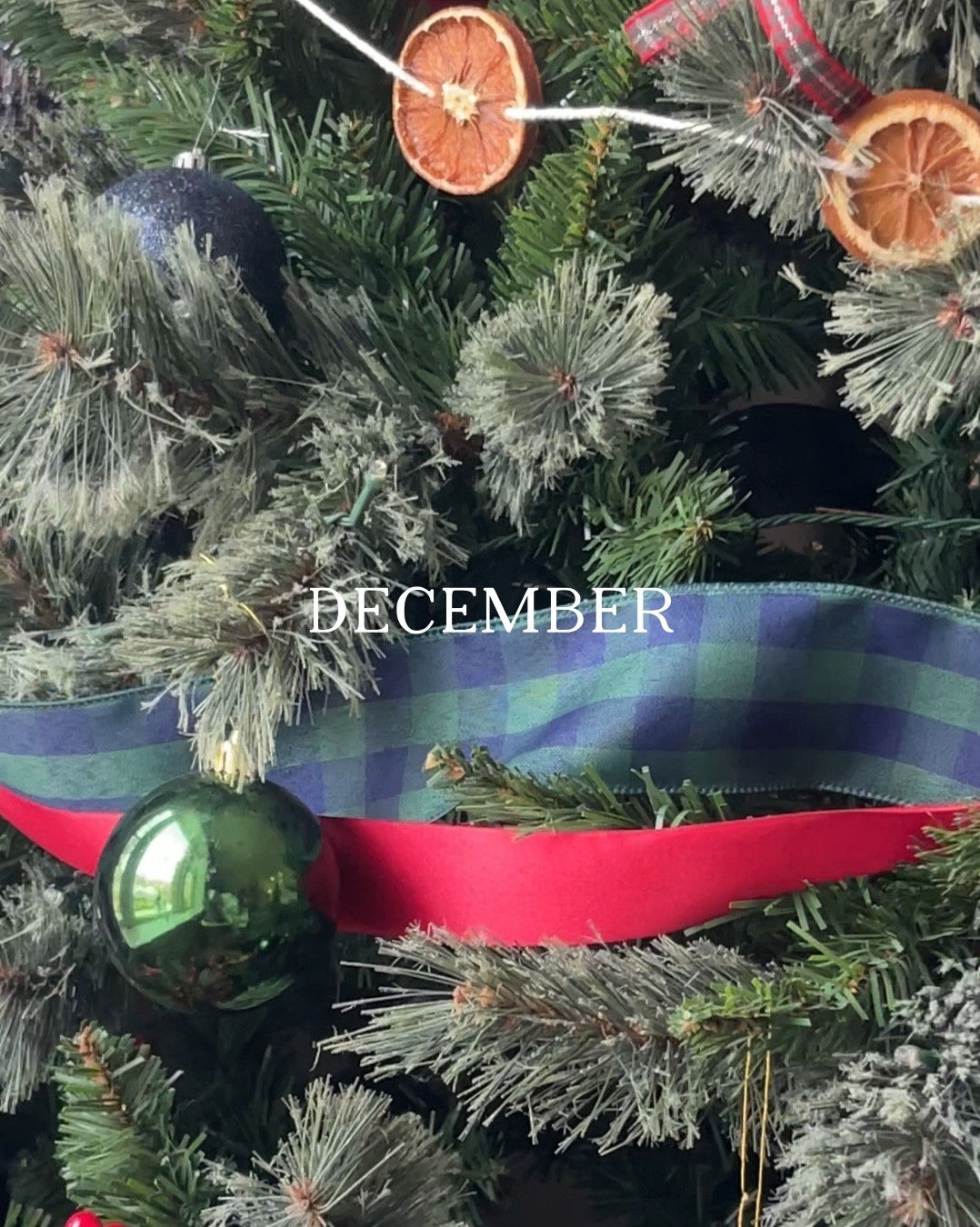 December Favorites

#LTKSeasonal #LTKstorytime #LTKdayinmylife