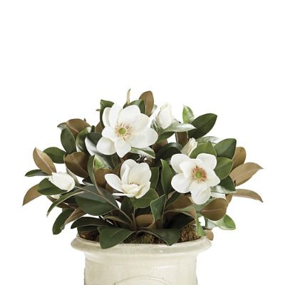 Magnolia Urn Filler | Frontgate | Frontgate