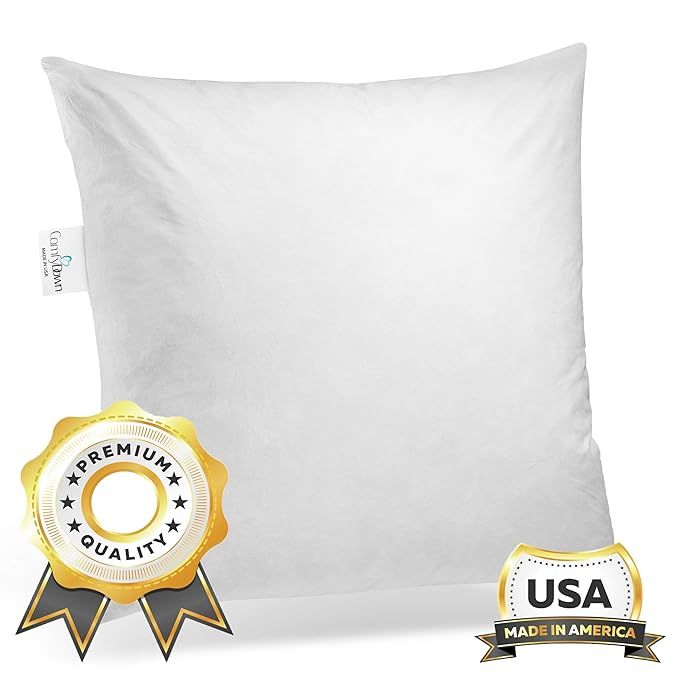 ComfyDown 95% Feather 5% Down, 24 X 24 Square Decorative Pillow Insert, Sham Stuffer - Made in USA | Amazon (US)
