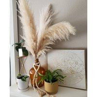 xl Pampas Grass - 36 Inches in Length- Boho Decor Wedding Gorgeous , Fluffy, & Tall | Etsy (US)