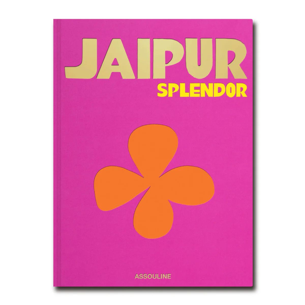 Jaipur Splendor Book | Furbish Studio