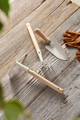 Bürstenhaus Redecker Hand Tools, Set of 3 | Anthropologie (US)