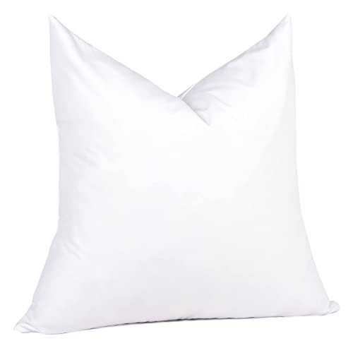 puredown® 30 x 30 Feather Down Throw Pillow Insert, 1 Pack Euro Pillow for Decorative Bed Cushion Couch Sofa | Amazon (US)