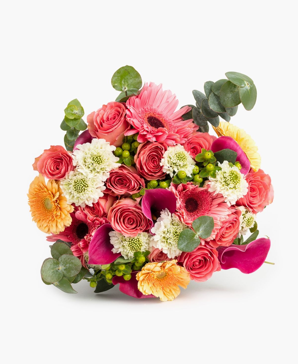 Bloomsybox Pastel Daydream Premium Fresh Flower Bouquet | Macys (US)