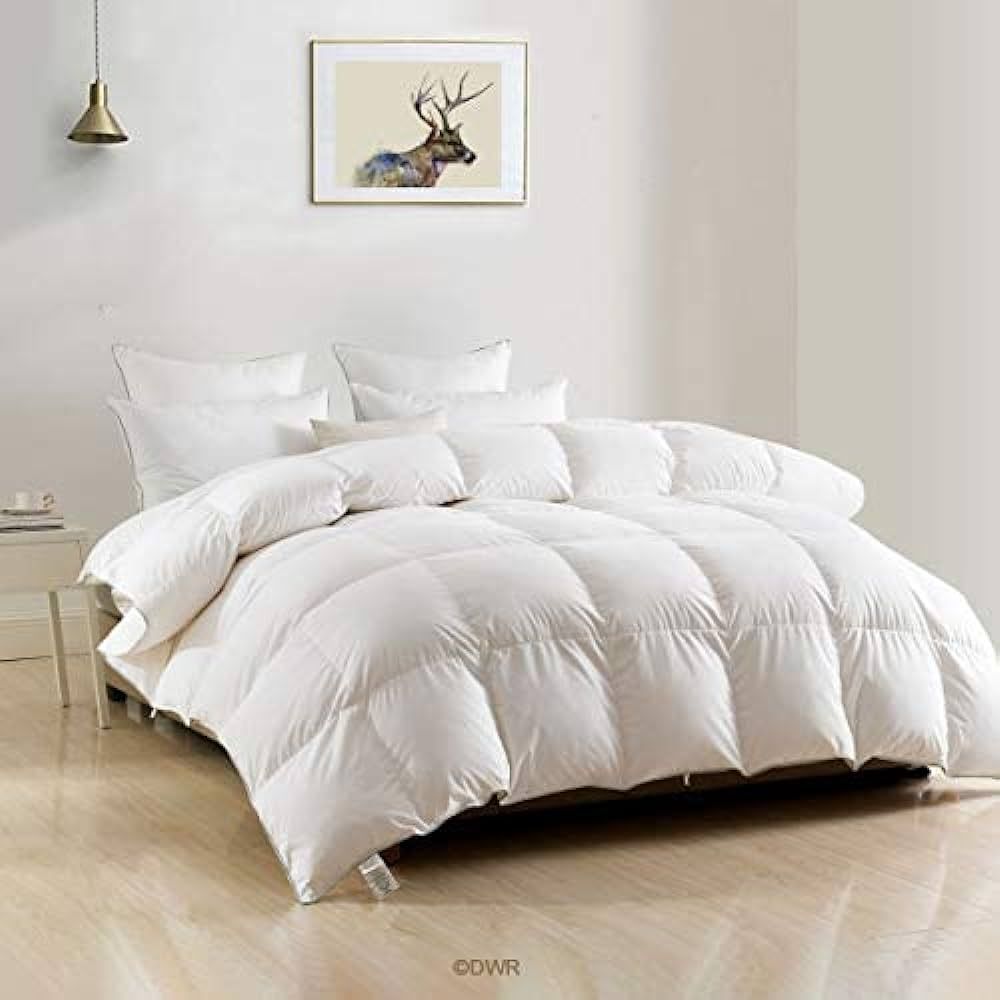 DWR Luxury Feathers Down Comforter Oversized Full/Queen, Fluffy Goose Feathers Down Duvet Insert,... | Amazon (US)