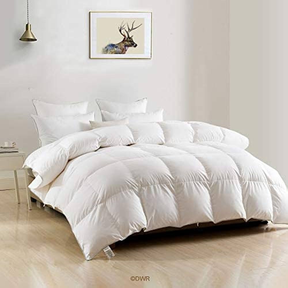 DWR Luxury Feathers Down Comforter Oversized Full/Queen, Fluffy Goose Feathers Down Duvet Insert,... | Amazon (US)