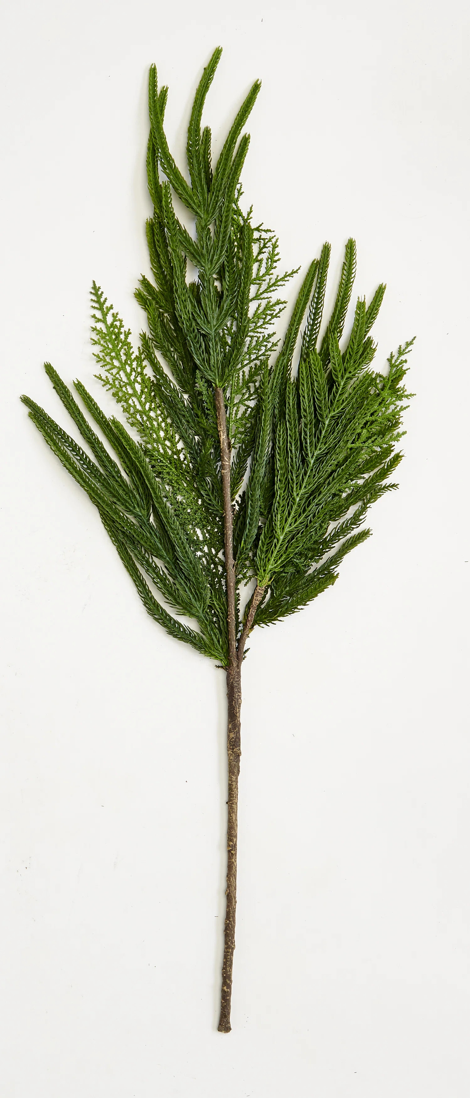 Christmas Artificial Evergreen Pine Cedar Spray (Set of 3) | Joss & Main