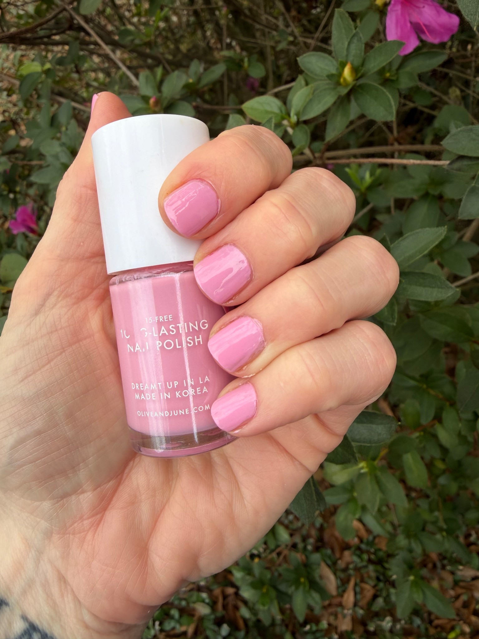 Love this pink color!! 
Great for true summers 

#LTKselfcare #LTKBeauty
