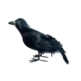 Halloween Black Iridescent Right Natural Feather Crow Accent by Ashland® | Michaels | Michaels Stores