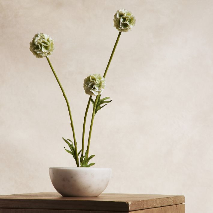 Faux Scabiosa Stem | West Elm (US)