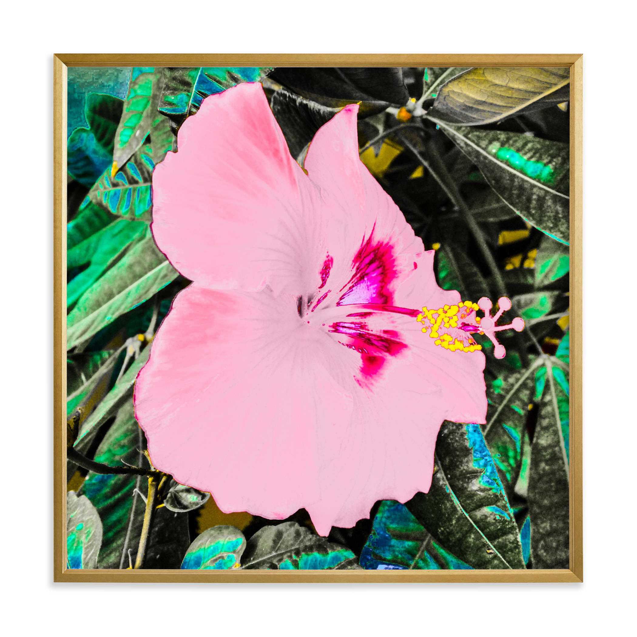 "Hi, Biscuits!" - Marketplace Non-custom Art by AMANDA LOMAX. | Minted