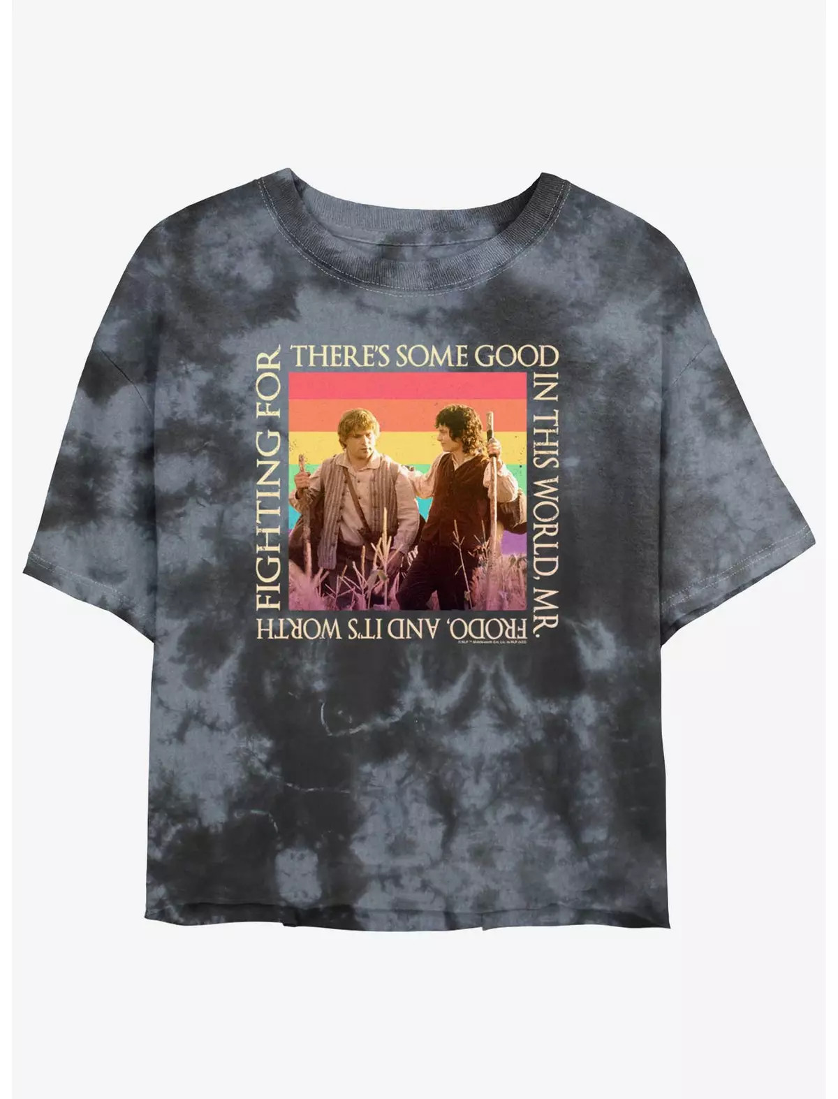 The Lord of the Rings Sam and Frodo Good In The World Womens Tie-Dye Crop T-Shirt | BoxLunch