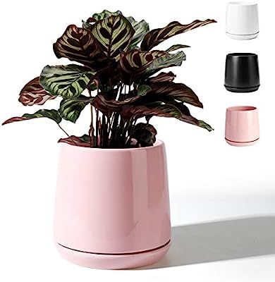 POTEY 051303 Plant Pot for Plants Flower- 5.7 Inch Shiny Pink Ceramic Glazed Planters Bonsai with... | Amazon (US)
