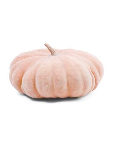 Flocked Pumpkin Decor | TJ Maxx