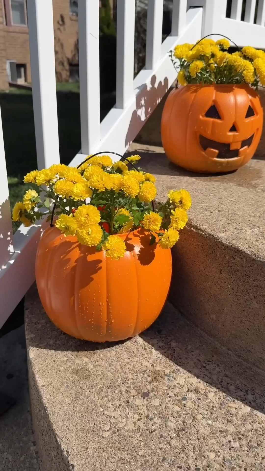 All you need is $5 and 5 min! The EASIEST fall decor that anyone can do! #walmart #walmartfinds #walmarthomefinds 

#LTKSeasonal #LTKStyleTip #LTKHome