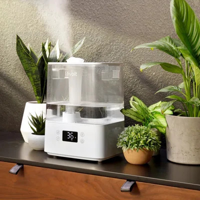 1.58 Gal. Cool Mist Ultrasonic Tabletop Humidifier 505 Sq. Ft. | Wayfair North America