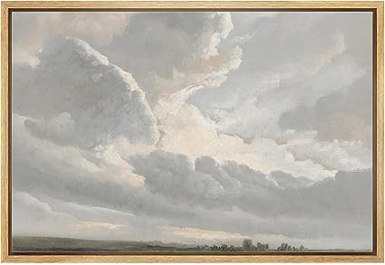 MUDECOR Framed Canvas Print Wall Art Stormy Sky Landscape Dramatic Cloudscape in Soft Neutrals Il... | Amazon (US)