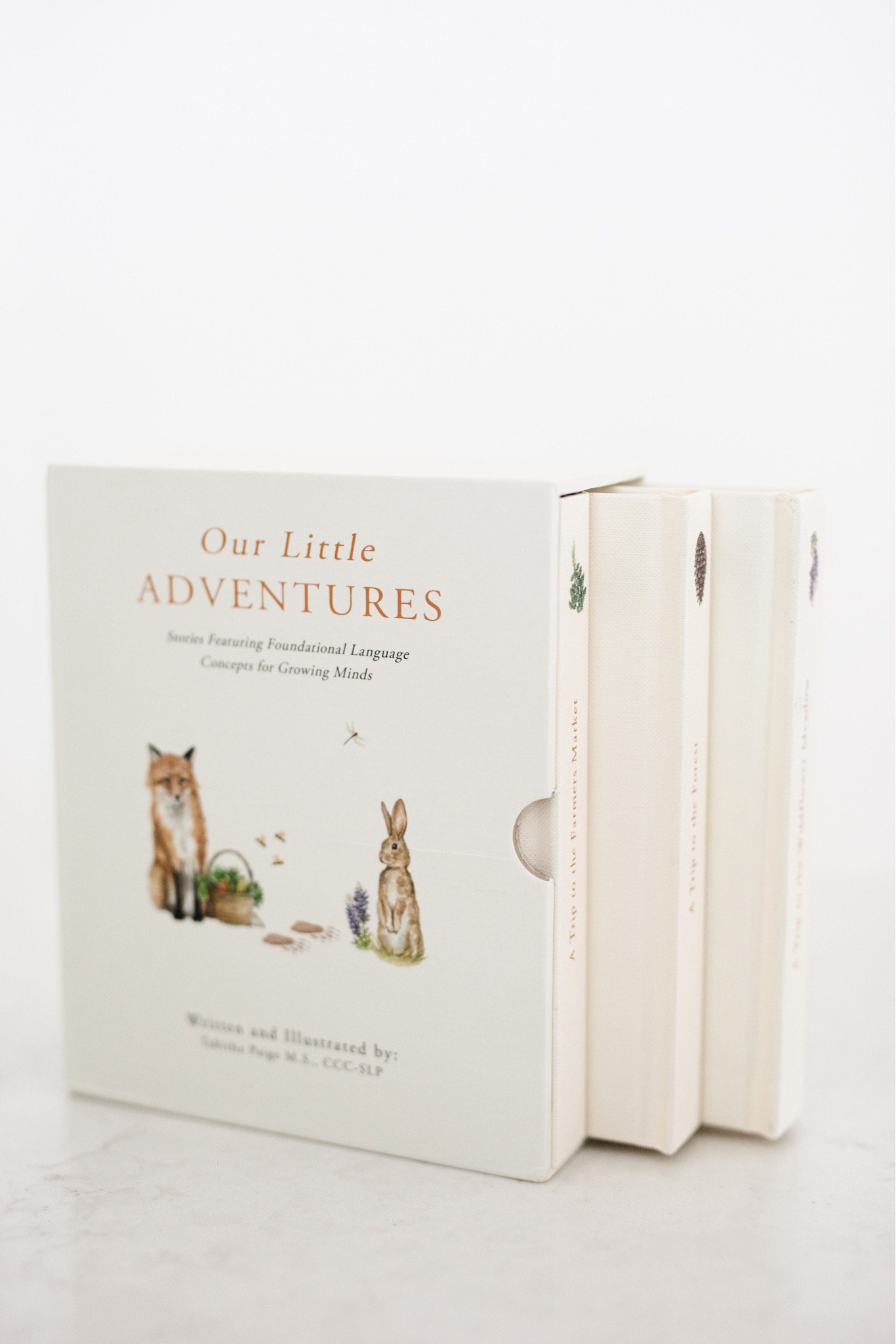 Help your toddler learn to read with this darling book set!

#LTKkids #LTKfamily