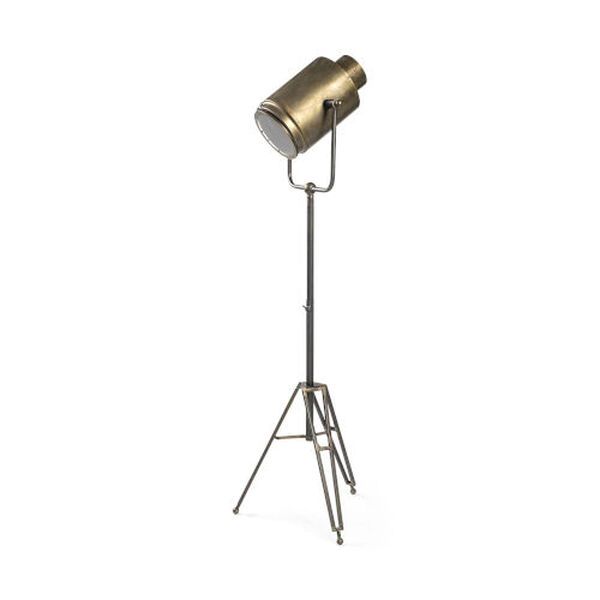 Debdou Gold 61-Inch Height One-Light Floor Lamp | Bellacor