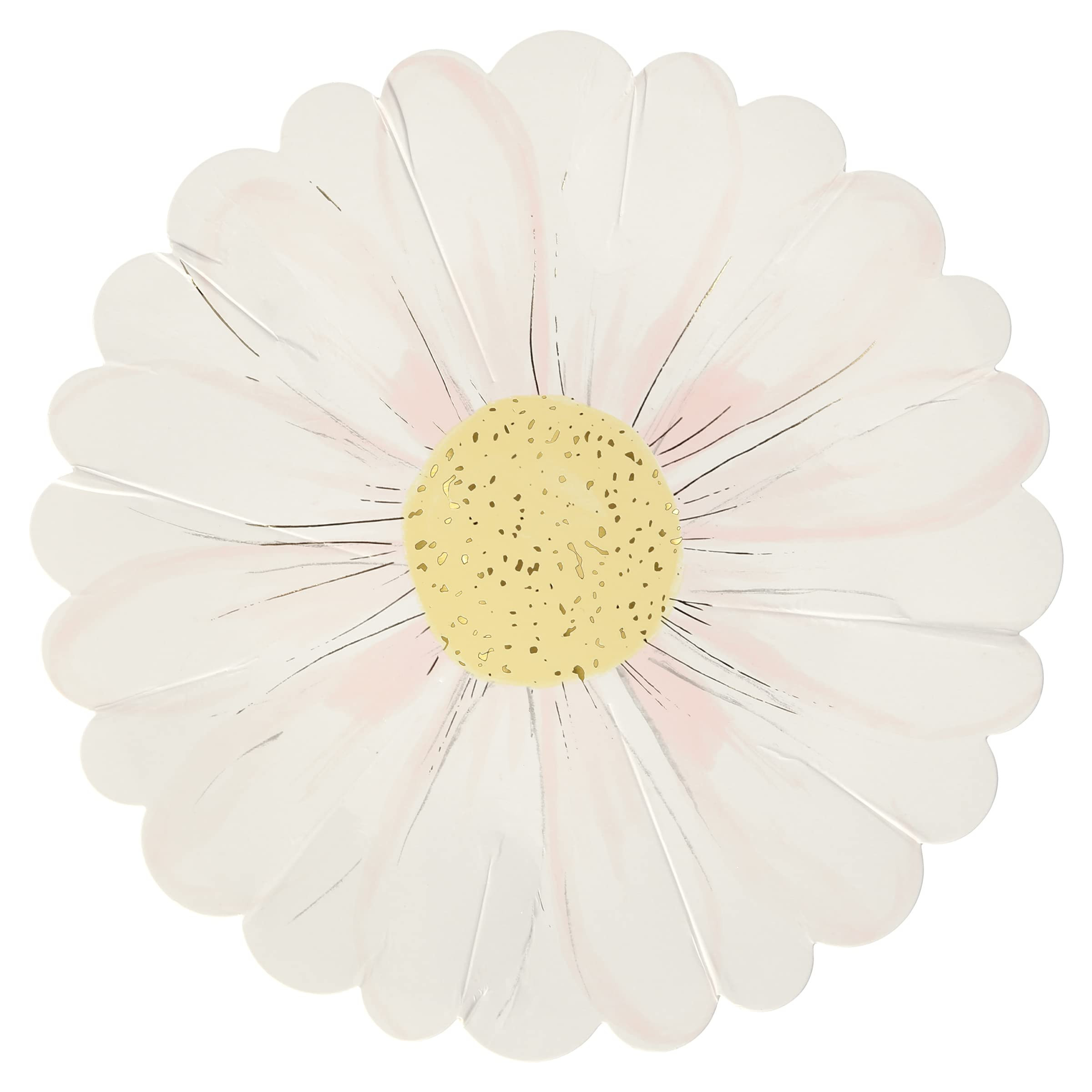 Meri Meri Wild Daisy Plates | Amazon (US)