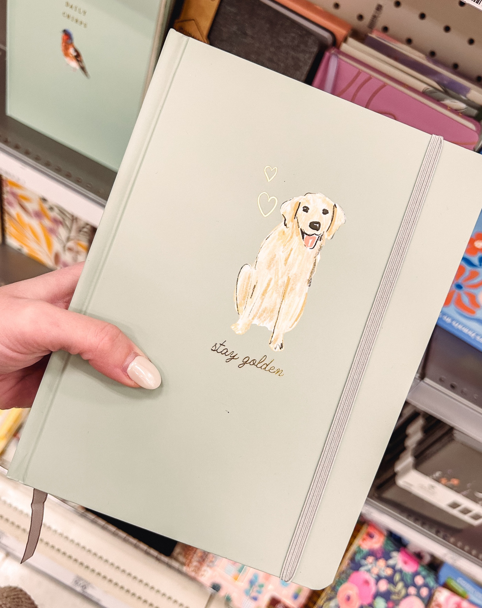 // notebook // cute notebook // golden retriever notebook // target notebooks //

#LTKfindsunder50 #LTKstyletip #LTKU