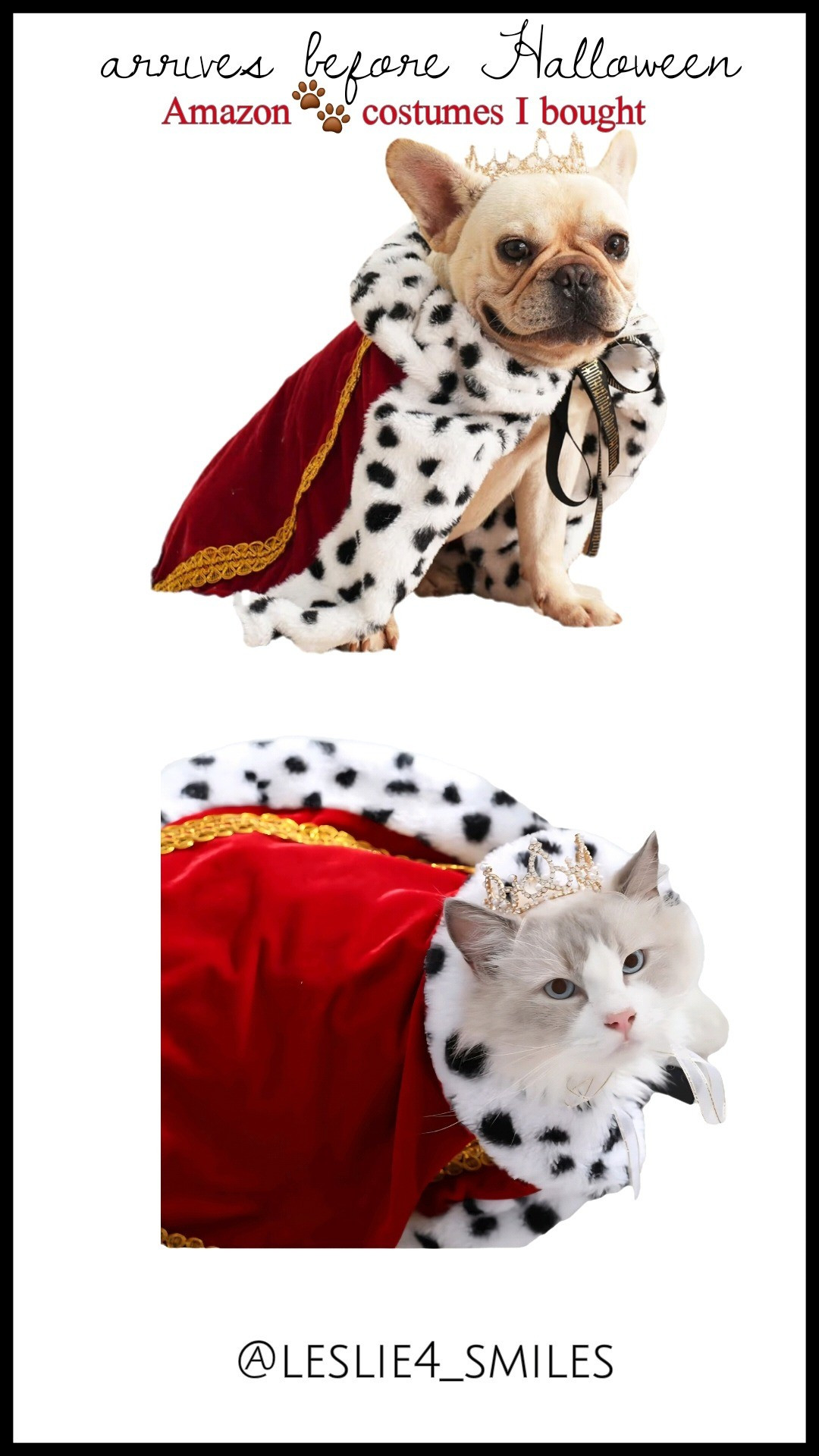 Size medium for Miss Annie 🐕 who is 17.5 lbs (cocker spaniel poodle mix) & size x-small for Miss Stormie 🐱 who is 7lbs ●● under $16 #Pet costumes #last minute halloween harvest dress up October party celebrate birthday pets queen king royalty 👑 amazon affordable budget friendly #cute fun soft crown cape cloak velvety family home top rated prince princess fur babies 👑

#LTKHoliday #LTKHalloween #LTKSeasonal