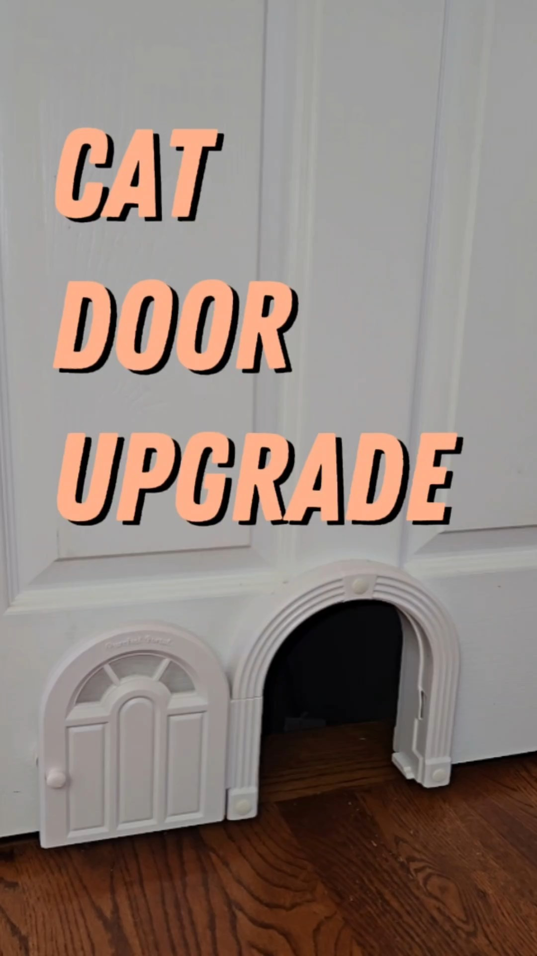 Finally installed this indoor cat door so my cats can come and go without me being their personal doorman 😅

#LTKFindsUnder50 #LTKHome #LTKPets