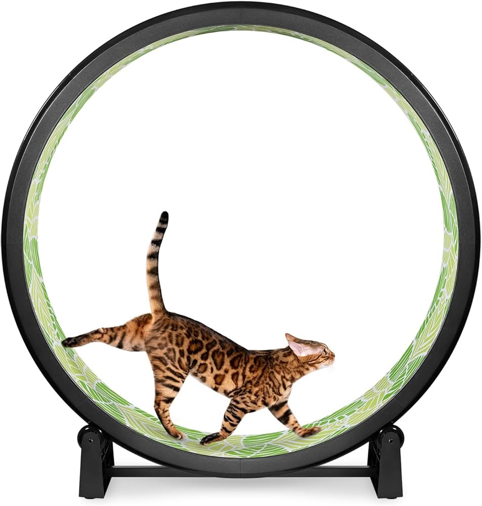 One Fast Cat - Cat Exercise Wheel - Gen. 7 - Safe 48" Diameter - Made in The USA - Black Wheel wi... | Amazon (US)