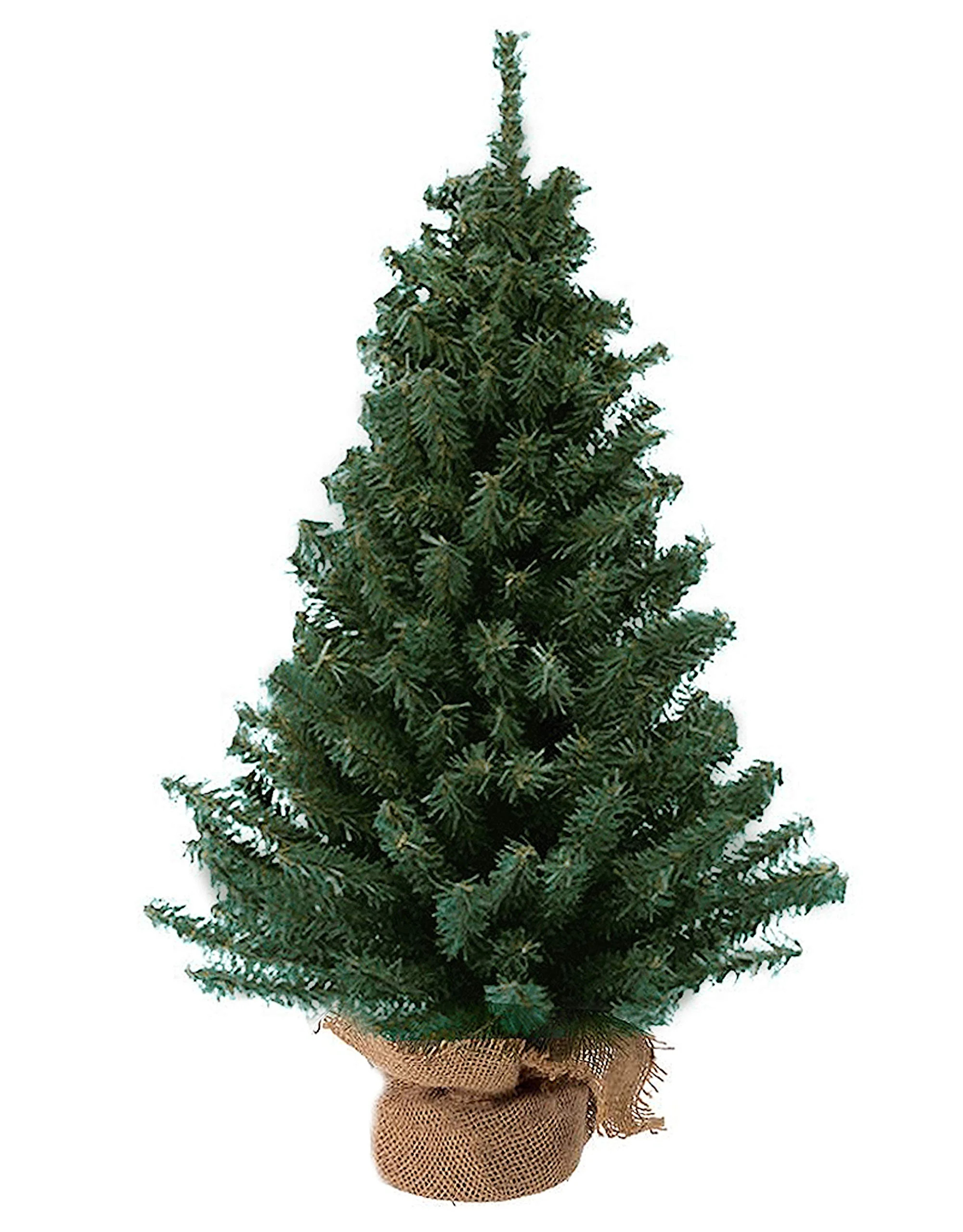 Kurt Adler 12" Christmas Tree with Base | Walmart (US)