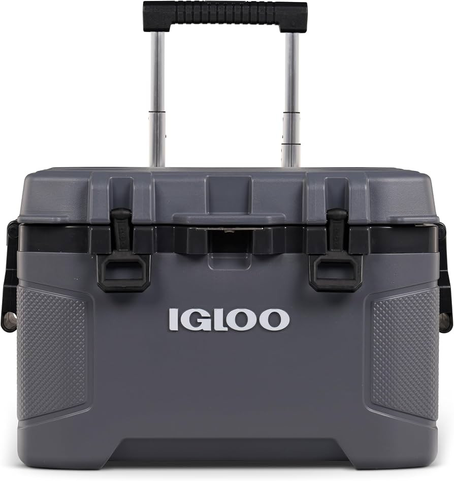 Igloo | Amazon (US)