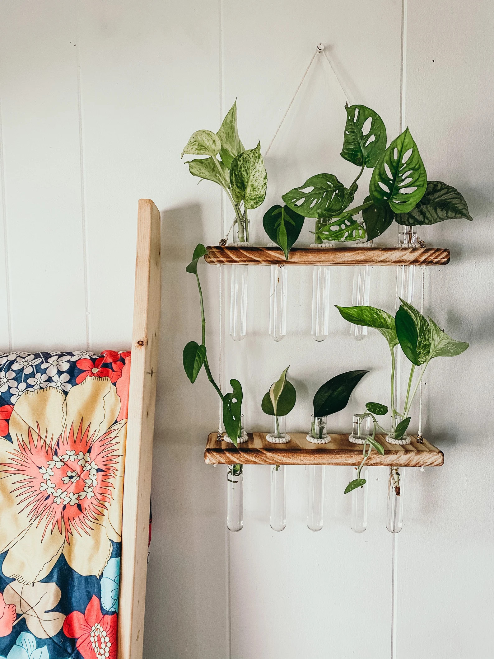 2 tier hanging test tube propagation station | Etsy (US)