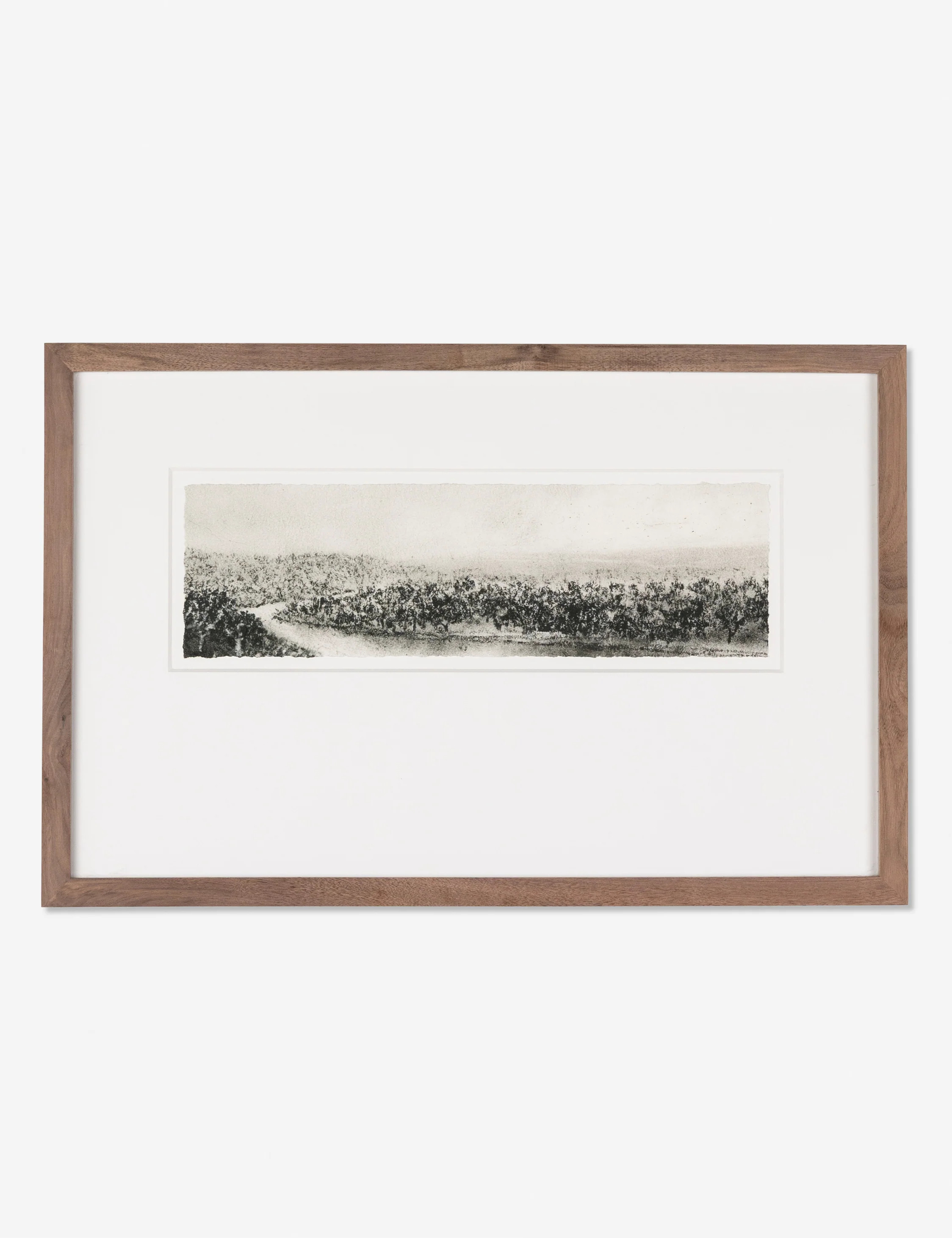 Hill Country Study II Wall Art by Aileen Fitzgerald | Lulu and Georgia 