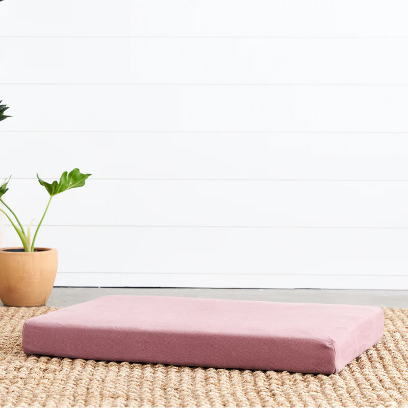 Organic Dog Bed + Pillow Bolster | Avocado Mattress
