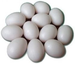 SallyFashion Easter Eggs Wooden Fake Eggs 9Piece -White Color | Amazon (US)