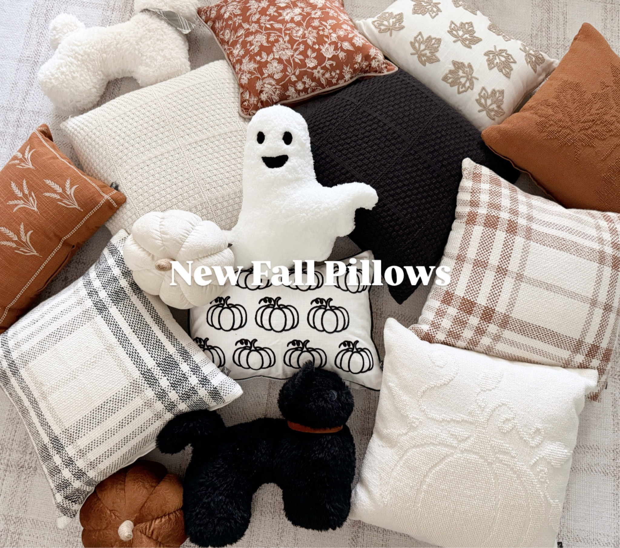 Check out the new My Texas House fall and Halloween pillows! 
Ghost 👻 pumpkin 🎃 & cat 🐈‍⬛ and dog 🐶 pillows!