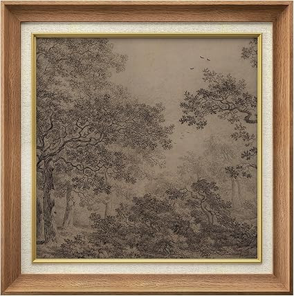 MUDECOR Premium Framed Wall Art Vintage Forest Sketch Classic Illustrations Fine Art Decorative R... | Amazon (US)