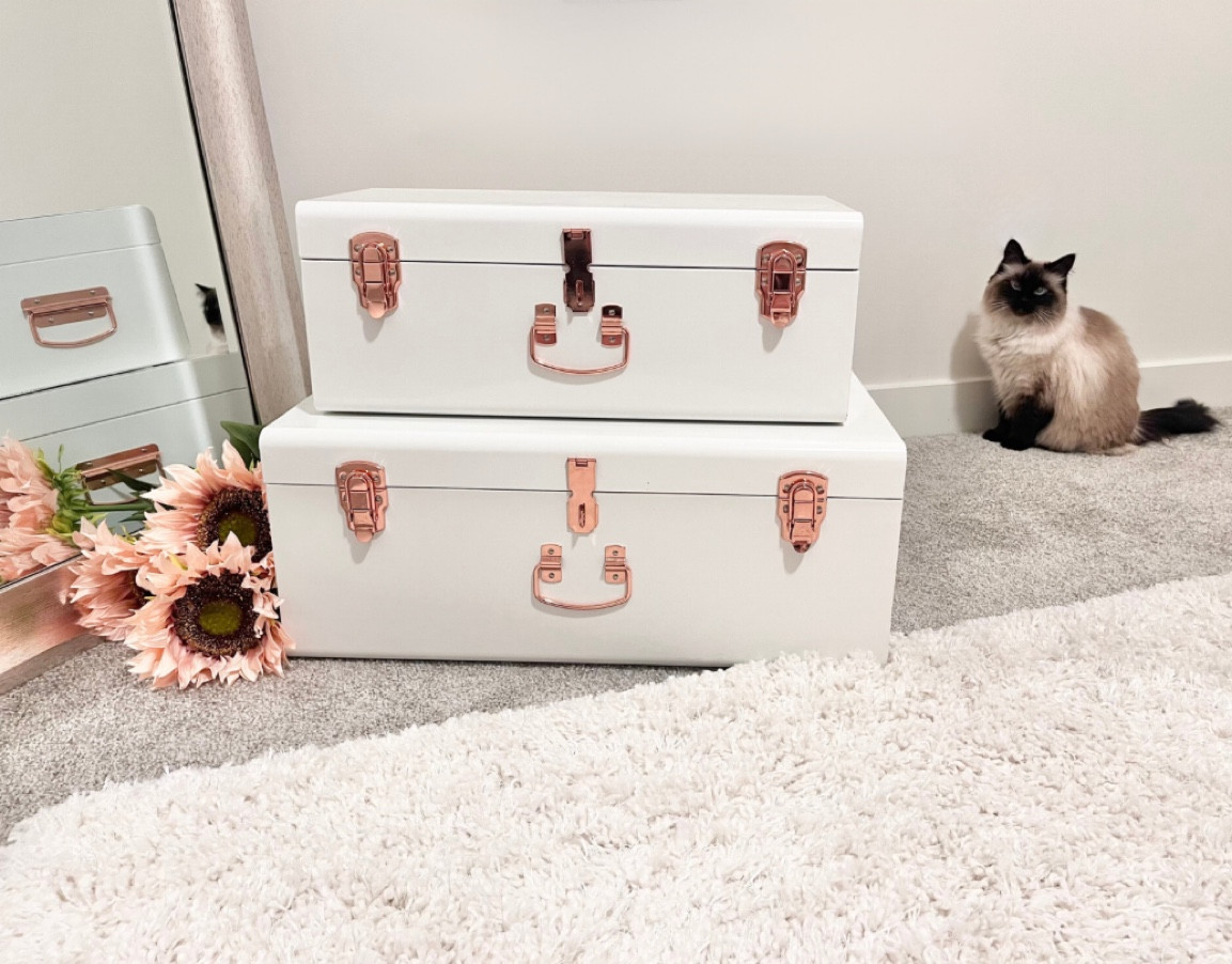 Decorative Vintage Style
Storage Trunk Chest 
Set of 2
🤍
I’ve had these for years and I love them! I place them around my Christmas tree during the holidays. They hold a lot and would be super pretty in many different settings! Would make an amazing gift!
🤍
Vintage Style Trunks, White storage trunks, Large chest set, Decorative storage, Gifts for women, Gifts for daughter, Gifts for mom

#LTKGiftGuide #LTKhome #LTKHoliday