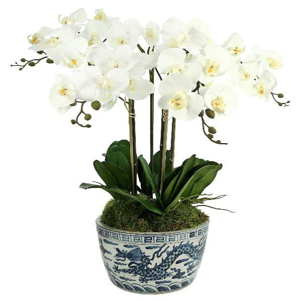 4 Stem White Orchid in Porcelain Dragon Bowl | The Enchanted Home