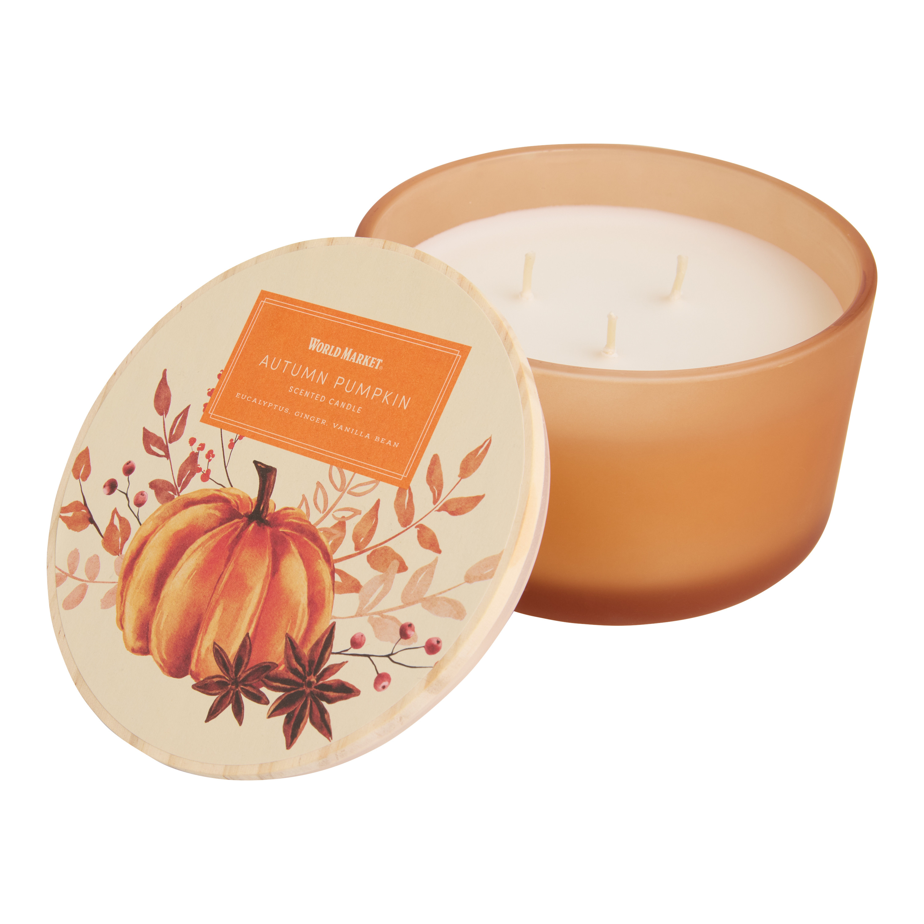 Autumn Grove Pumpkin 3 Wick Scented Candle | World Market