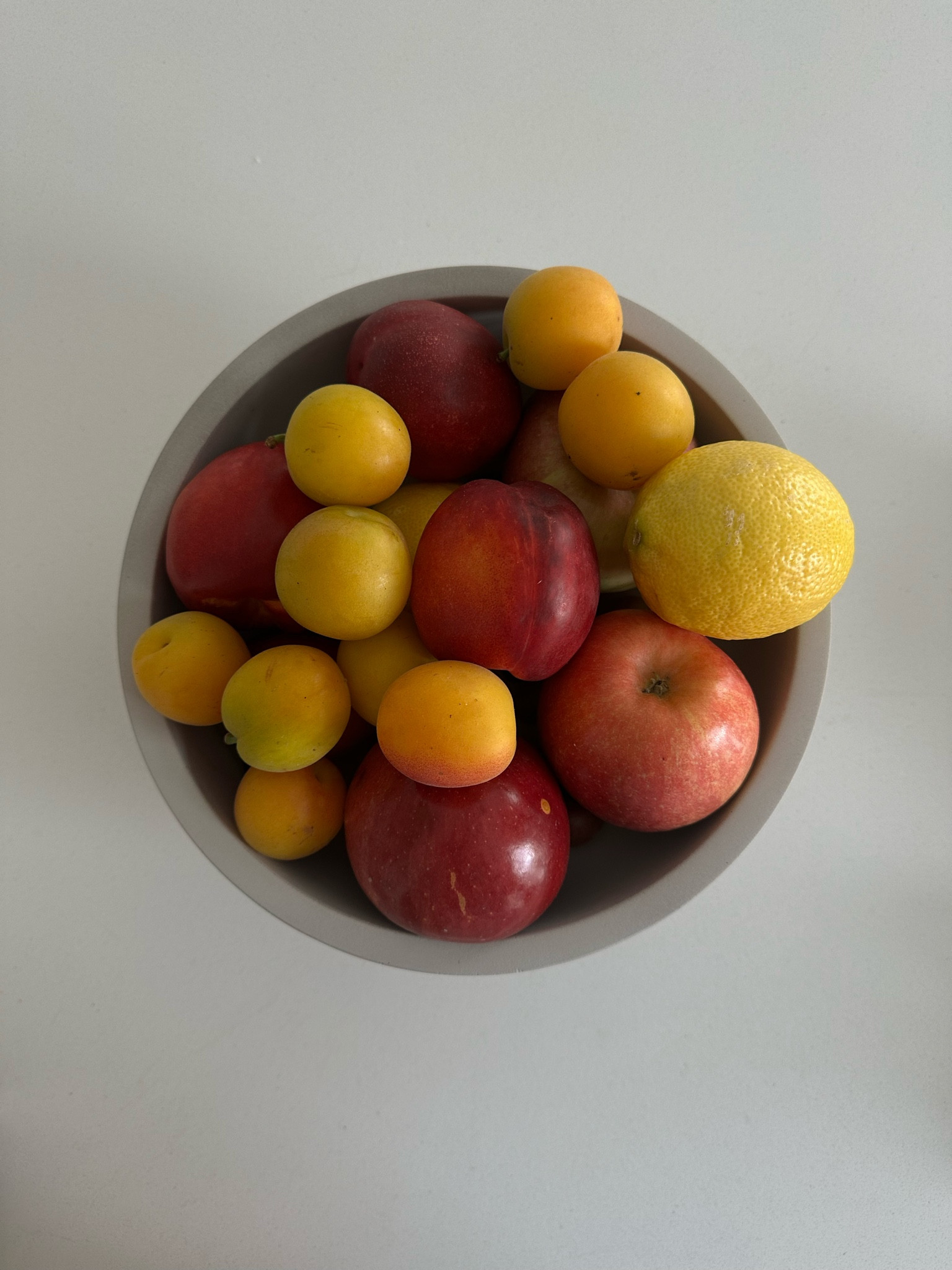 Concrete fruit bowl

#LTKHome #LTKFindsUnder50 #LTKFindsUnder100