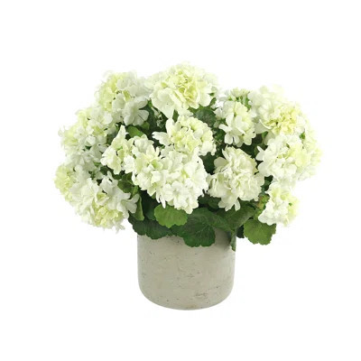 Outdoor Geranium in Fiberstone Pot | Wayfair North America