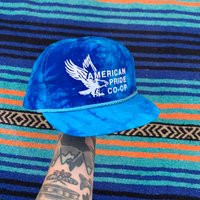 Vintage 1990's American Pride Co-Op Tie Dye Trucker Hat, Blue Eagle Snap Back | Etsy (US)